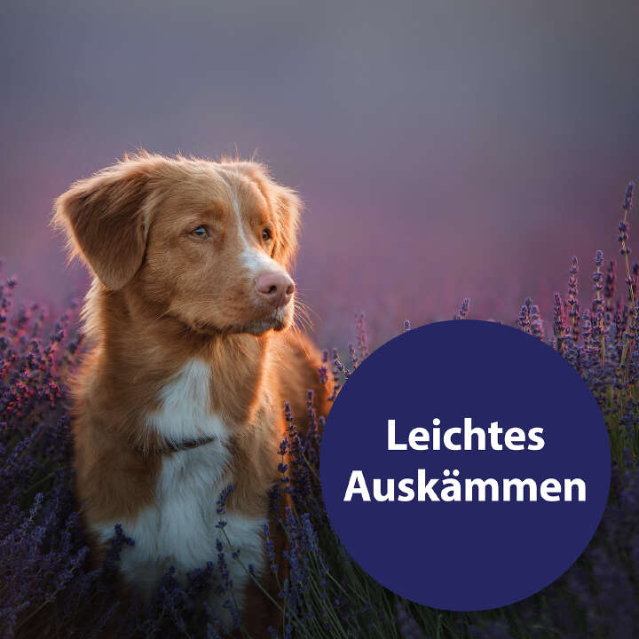 Canosept Fellpflegespray für Hunde 250 ml